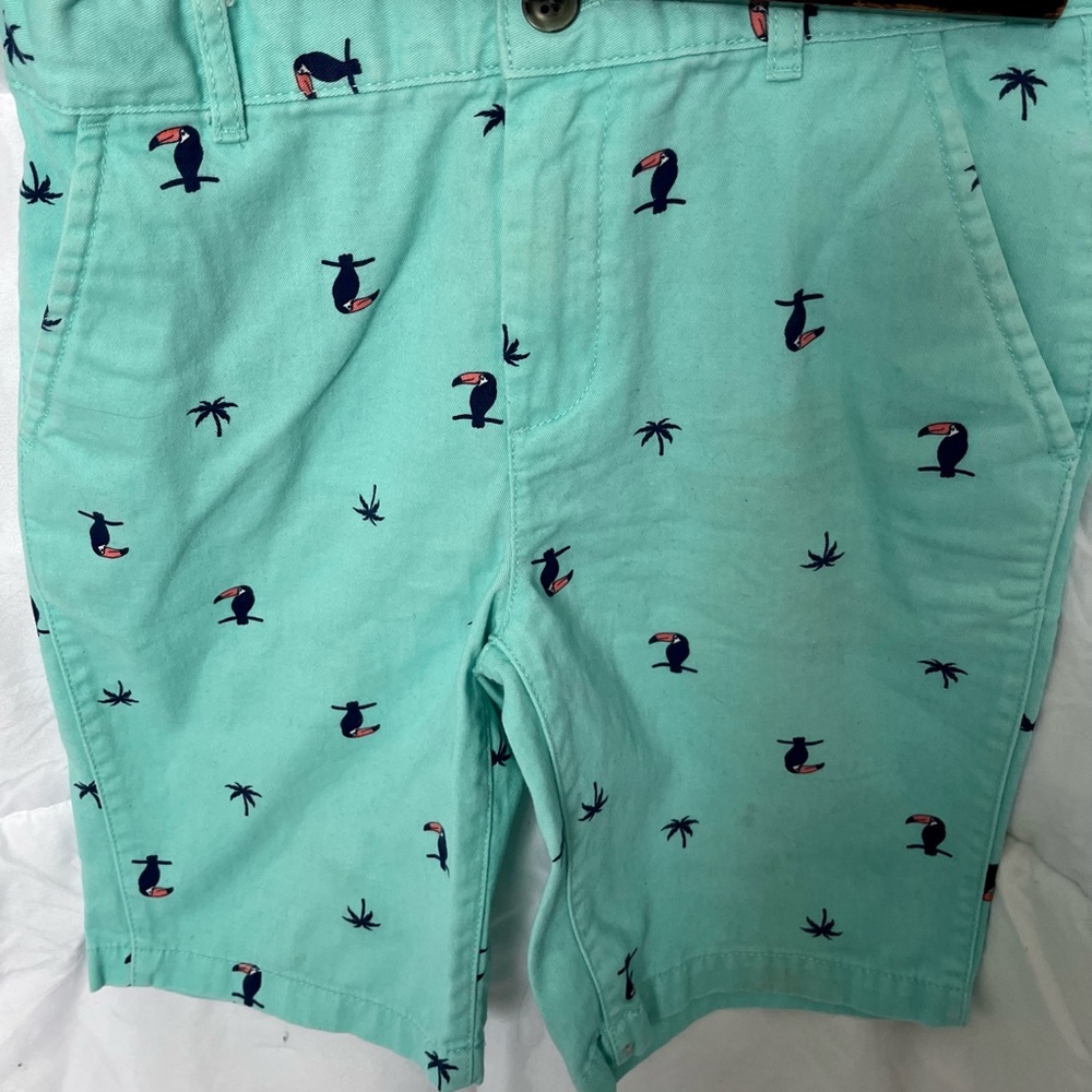Boys Shorts. Cute flamingo pattern